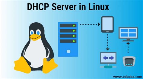 dhcp server linux debian